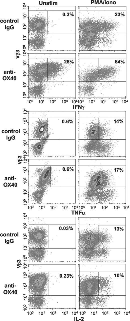 FIGURE 4. Donor T cells from Ag-transgenic hosts treated with anti-OX40 secrete IFN-γ directly ex vivo and in response to activation with PMA and ionomycin. Splenocytes recovered from host animals on day 5 were cultured for 5 h in the presence of monensin, with or without PMA and ionomycin, and then stained for CD4, Vβ3, and intracellular IFN-γ, TNF-α, or IL-2. The percentage of CD4+Vβ3+ cells expressing the cytokine is indicated on the plots, which are gated on CD4+ cells. One representative mouse of three per group, from one experiment of five, is shown.