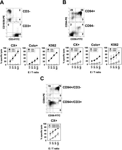 FIGURE 4. Hsp70-positive tumor target cells are lysed selectively by CD3−CD56+CD94+ NK Cells, but not by CD3+ T cells. A, Separation of PBL of three independent donors in a CD3-negative (CD3−; upper dot plot) and CD3-positive (CD3+; lower dot plot) subpopulation by MACS using CD3 Ab. Separated cells were stimulated for 4 days with TKD (2 μg/ml) plus IL-2 (100 IU/ml) and phenotyped using CD3FITC and CD16/56PE Abs. The dot plot diagrams of one representative separation is illustrated. Numbers in the dot plot diagram represent the mean percentage values of positively stained cells of three experiments. Concomitantly, the cytolytic activity of both effector cell populations (CD3−, ▪; CD3+, □) was tested in a standard 4-h chromium release assay. Specific lysis of effectors was assessed against Hsp70 membrane-positive CX+, Colo+, and K562 tumor target cells. E:T ratios ranged from 1:1 to 10:1. The mean ± SEM from three independent separations is shown. B, Separation of PBL of three independent donors in CD94-positive (CD94+; upper dot plot) and CD94-negative (CD94−; lower dot plot) subpopulation by MACS using CD94 Ab. TKD-stimulated subpopulations were phenotyped using CD56FITC and CD94PE Abs. Concomitantly, the cytolytic activity of both effector cell populations (CD94+, ♦; CD94−, ⋄) was tested against Hsp70 membrane-positive CX+, Colo+, and K562 tumor target cells. C, The CD94-positive subpopulations were further separated in a CD3-negative (CD94+CD3−; upper dot plot) and CD3-positive (CD94+CD3+; lower dot plot) cell population by MACS using CD94 and CD3 Ab. TKD-stimulated effector cells were phenotyped separately using CD56FITC and CD94PE Abs. Concomitantly, the cytolytic activity of both effector cell populations (CD94+CD3−, ▴; CD94+CD3+, ▵) was tested against Hsp70 membrane-positive CX+ tumor target cells. Due to low cell numbers, cytolytic activity against K562 cells could not be tested.