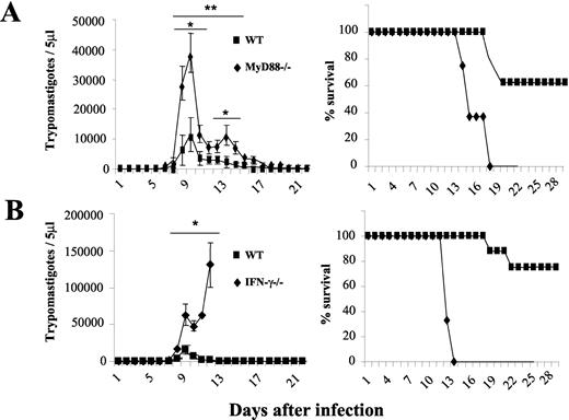 FIGURE 5. Enhanced susceptibility of MyD88−/− mice to infection with T. cruzi parasites. Male, 8-wk-old, WT, MyD88−/− (A), or IFN-γ−/− (B) mice were infected with 100 forms of the Y strain of T. cruzi, and parasitemia as well as mortality assessed daily. The results shown are one representative of three different experiments. When comparing parasitemia from MyD88−/− or IFN-γ−/− to WT mice, one and two asterisk indicates that difference is statistically significant p < 0.001 and p < 0.005, respectively. Mortality curves were statistically different (p < 0.001) when comparing MyD88−/− or IFN-γ−/− to WT mice.