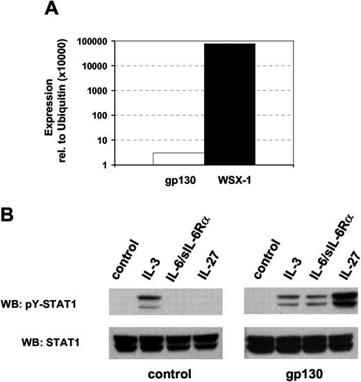 FIGURE 1. Ba/F3 cells expressing gp130 are sensitive to IL-27. A, Total mRNA was isolated from Ba/F3 cells and analyzed by quantitative PCR for mRNA expression of the cytokine receptors WSX-1 and gp130 with ubiquitin used as a reference gene. B, Ba/F3 cells were stably transfected with gp130 or a control plasmid. The cells were stimulated with saturating concentrations of IL-3, IL-6/sIL-6Rα, or IL-27 for 15 min or were left unstimulated. Tyrosine phosphorylation of STAT1 as readout for cytokine receptor activation in response to the various factors was determined using a pY-STAT1-specific Ab. A representative of three experiments is shown.