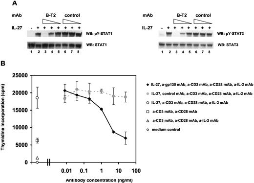 FIGURE 3. An anti-hgp130 mAb blocks IL-27-mediated cellular effects. A, NKL cells were preincubated in the presence or absence of either the anti-hgp130 mAb B-T2 or an isotype control mAb. Each mAb was used at 10,000, 500, and 25 ng/ml concentrations, from left to right, as indicated. Cells were then stimulated with saturating amounts of IL-27 or were left unstimulated. Tyrosine phosphorylation of STAT1 and STAT3 as a readout for receptor activation in response to IL-27 was determined using pY-STAT-specific Abs. B, FACS-purified naive human T cells were incubated with saturating concentrations of IL-27, agonistic anti-CD3 and anti-CD28 Abs, and neutralizing anti-IL-2 Ab in the absence and presence of titrated amounts of the anti-gp130 mAb B-T2 or an isotype control mAb. IL-27-dependent proliferation was measured by thymidine incorporation. Data points shown represent means and SD from triplicate experiments.
