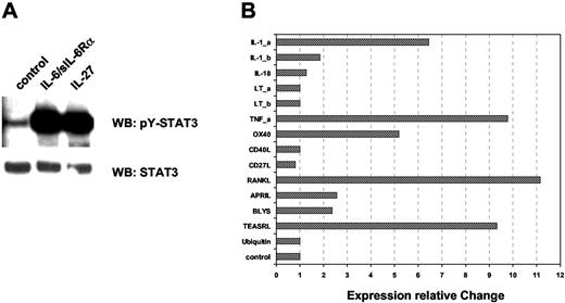 FIGURE 5. IL-27 triggers expression of a subset of inflammatory cytokines in primary human mast cells. A, Primary human mast cells were stimulated with IL-6/sIL-6Rα or IL-27, and tyrosine phosphorylation was assessed using a pY-STAT3-specific Ab. B, Primary human mast cells were stimulated with IL-27 for 2 h or were left unstimulated; total RNA was prepared from both cell populations; and quantitative PCR was performed to determine mRNA levels for the indicated cytokines. Ubiquitin and water were used as controls. Data were plotted as relative change of mRNA level in stimulated vs unstimulated cells.