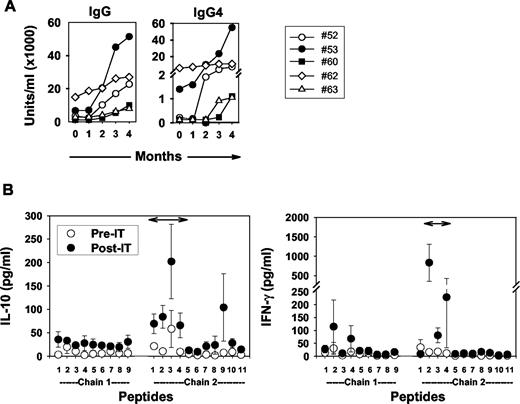 FIGURE 4. Increased production of chain 2 epitope-specific IL-10 and IFN-γ is associated with injection of whole allergen. A, Fel d 1-specific serum IgG and IgG4 Ab were monitored at monthly intervals for 4 mo in five cat-allergic patients receiving IT. B, Mean maximal change in peptide-induced IL-10 and IFN-γ in PBMC cultures measured within the first 4 mo of therapy. Values represent the mean ± SEM for each peptide after correction for background levels. Pre-IT, baseline levels; Post-IT, maximal levels measured within the first 4 mo of immunotherapy.