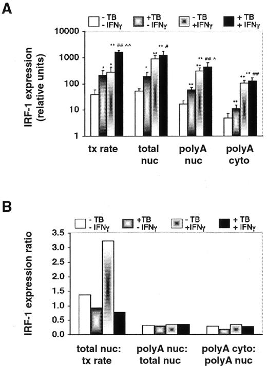 FIGURE 7. IRF-1 total nuclear RNA accumulation increases more than the transcription rate in cells stimulated by IFN-γ, and the increase is limited in cells infected by M. tuberculosis. A, THP-1 macrophages were uninfected or infected by M. tuberculosis (TB) and unstimulated or stimulated for 2 h by IFN-γ, as indicated. Cytoplasmic and nuclear RNA were extracted, and IRF-1 was assayed, as described in Materials and Methods. The average transcription rate of IRF-1 normalized to the transcription rate of GAPDH with the SD, and statistical significance (from Fig. 3, n = 6) is shown for comparison (tx rate). The abundance of IRF-1 transcripts relative to GAPDH transcripts is shown for total nuclear RNA (total nuc), poly(A) nuclear RNA (poly(A) nuc), and poly(A) cytoplasmic RNA (poly(A) cyto). The error bars for RNA abundance measurements show the SD of the averages from duplicate assays of four independent experiments (∗, p < 0.05 or ∗∗, p < 0.001 relative to uninfected, unstimulated cells; #, p < 0.05; or, ## p < 0.001 relative to infected, unstimulated cells; ∧, p < 0.05; or ∧∧, p < 0.001 relative to uninfected, IFN-γ-stimulated cells). B, The values from A were used to calculate the ratio of expression at each successive level. The ratios of total nuclear IRF-1 RNA to IRF-1 transcription rate (total nuc: tx rate), poly(A) nuclear IRF-1 RNA to total nuclear IRF-1 RNA (poly(A) nuc: total nuc), and poly(A) cytoplasmic IRF-1 mRNA to poly(A) nuclear IRF-1 RNA (poly(A) cyto: poly(A) nuc) are shown.