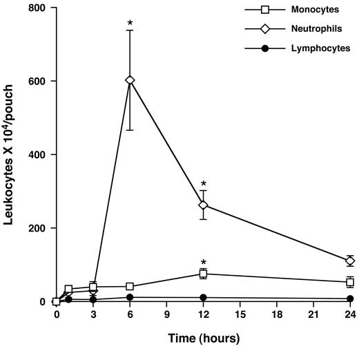 FIGURE 2. Leukocyte subtypes accumulating in the air pouch in response to sHZ. Number of monocytes, neutrophils, and lymphocytes recruited in the pouch exudates in response to sHZ (50 μg/ml) at different time points: 1, 3, 6, 12, and 24 h. Differential cell counts were performed on Wright-Giemsa-stained cytospin preparations. Results represent mean + SEM of five mice. ∗, p < 0.05, sHZ 6/12 h vs sHZ 1 h. Data are representative of one of three separate experiments.