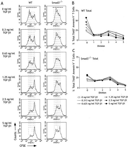 FIGURE 4. Smad3−/− T cells are resistant to growth inhibition by TGF-β1. Unsorted splenocytes from WT or Smad3−/− mice were stimulated with anti-CD3 plus anti-CD28 for 72 h in the presence or absence of increasing concentrations of TGF-β1. A, CFSE dilution histograms from 7-AAD− TCR-β+-gated WT and Smad3−/− splenocytes are shown. M1-M5 represents the individual CFSE peaks. B and C, The percentage of 7-AAD− TCR-β+-gated WT or Smad3−/− splenocytes stimulated in the presence (•) or absence (□) of increasing concentrations of TGF-β1 was calculated from the CFSE profiles and plotted against the number of cell divisions. A representative experiment of four is shown.