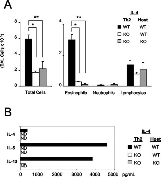 FIGURE 6. Collateral Th2 sensitization to BSA is dependent on IL-4 production from transferred Th2 cells. A, BAL eosinophils, neutrophils, and lymphocytes from WT or IL-4 KO hosts receiving WT or IL-4 KO DO11.10 Th2 cells after primary challenge with OVA/BSA and secondary challenge with BSA alone. ∗, p < 0.005; ∗∗, p < 0.02, n = 6. B, IL-4, IL-5, and IL-13 (picograms per milliliter) production ex vivo by DLN cells from above groups. Cells were stimulated with APCs and 200 μg/ml BSA. IFN-γ was not detectable. One representative experiment of three is shown.