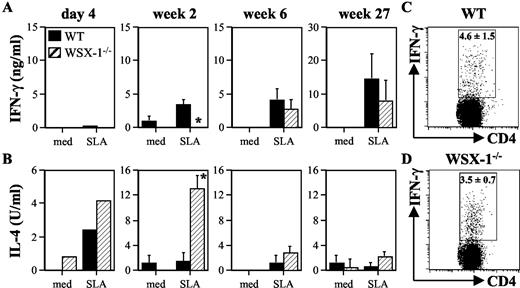 FIGURE 2. Defective Leishmania-specific IFN-γ responses in WSX-1−/− mice are associated with IL-4 production. WT and WSX-1−/− mice were infected with 2 × 106 L. major promastigotes in the hind footpad. At various times postinfection, draining LN cells were isolated and cultured in medium alone (med) or with SLA for 72 h. Secretion of IFN-γ (A) and IL-4 (B) was determined by ELISA. The frequency of SLA-stimulated WT (C) and WSX-1−/− (D) CD4+ T cells producing IFN-γ was determined at wk 27 postinfection by intracellular cytokine staining. Values represent the mean of pooled (day 4) or individual LN ± SD for three to five mice per group and are representative of three experiments. ∗, Significant difference between WT and WSX-1−/− mice (p < 0.05).