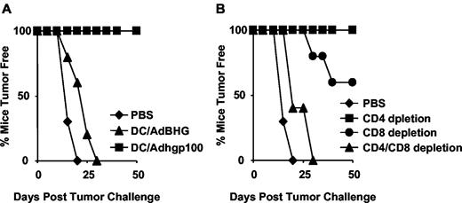 FIGURE 8. B16F10-TAP1 cells can be rejected by CD4+ T cell-mediated immunity. A, C57BL/6 mice were immunized with DC/Adhgp100 or DC/AdBHG. Fourteen days later, mice were challenged with 2 × 104 B16F10-TAP1 cells and monitored for the onset of tumor formation. B, Ab depletion of T cells in immunized animals was initiated 2 days before tumor challenge and then every third day until most control animals (PBS-injected mice) developed palpable tumors. Data presented are summarized from eight to ten mice at each group.