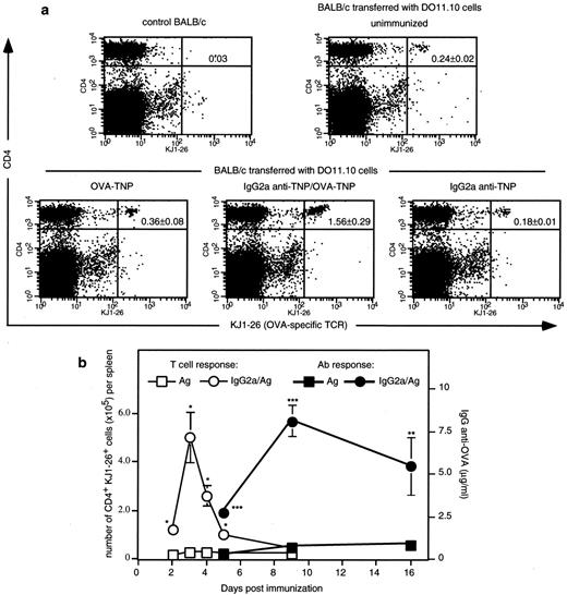 FIGURE 1. IgG2a enhances proliferation of Ag-specific CD4+ T cells as well as Ab responses. a, BALB/c mice were adoptively transferred with total spleen cells from DO11.10 transgenic mice containing 3 × 106 CD4+KJ1-26+ T cells. Twenty-four hours later, recipients (three mice per group) were left unimmunized or were immunized i.v. with 20 μg of OVA-TNP alone, 20 μg of OVA-TNP preincubated with 50 μg of IgG2a anti-TNP, or with 50 μg of IgG2a anti-TNP alone. As negative controls, normal BALB/c mice, neither transferred with DO11.10 cells nor immunized, were used. Mice were sacrificed 3 days after immunization and the percentage of CD4+ KJ1-26+ DO11.10 cells per spleen was determined by flow cytometry. A representative of five independent experiments is shown. b, BALB/c mice were adoptively transferred and immunized as in a plus 20 μg BSA (as a specificity control). On the indicated days, three mice per group were sacrificed and the number of CD4+ KJ1-26+ DO11.10 cells per spleen was determined by flow cytometry. Five mice per group were saved and serum levels of IgG anti-OVA was determined by ELISA (mean ± SEM). Immunization with 50 μg of IgG2a anti-TNP alone did not result in a T cell response nor an anti-OVA IgG response (data not shown). Asterisks indicate statistical differences between mice given Ag alone and mice given Ab/Ag complexes. ∗, p < 0.05; ∗∗, p < 0.01; ∗∗∗, p < 0.001. Levels of IgG anti-BSA were not statistically higher in IgG2a/Ag-immunized than in Ag-immunized mice. A representative of three independent experiments is shown.