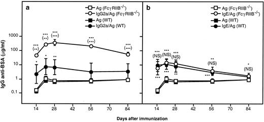 FIGURE 3. Enhanced IgG2a-mediated enhancement of primary Ab responses in FcγRIIB−/− mice. Groups of four to five WT CBA/J and FcγRIIB−/− mice, backcrossed to CBA/J for five generations, were immunized i.v. with 50 μg of IgG2a anti-TNP plus 20 μg of BSA-TNP plus 20 μg of OVA (as a specificity control) or 20 μg of BSA-TNP plus 20 μg of OVA alone (a) or with 50 μg of IgE anti-TNP plus 20 μg of BSA-TNP plus 20 μg of OVA or 20 μg of BSA-TNP plus 20 μg of OVA alone (b). On the indicated days, mice were bled and IgG anti-BSA-levels in sera were measured by ELISA. Asterisks indicate statistical differences between mice of the same strain given Ag alone and mice given Ab/Ag complexes. Asterisks within parentheses indicate the statistical differences between FcγRIIB−/− and WT mice given Ab/Ag complexes. ∗, p < 0.05; ∗∗, p < 0.01; ∗∗∗, p < 0.001. Levels of IgG anti-OVA were not statistically higher in IgG/Ag- or IgE/Ag-immunized than in Ag-immunized mice (data not shown).