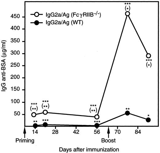 FIGURE 4. Enhanced IgG2a-mediated priming for secondary Ab responses in FcγRIIB−/−mice. Groups of five WT CBA/J and FcγRIIB−/− mice, backcrossed to CBA for 10 generations, were primed i.v. with 50 μg of IgG2a anti-TNP plus 20 μg of BSA-TNP plus 20 μg of OVA (as a specificity control) or 20 μg of BSA-TNP plus 20 μg of OVA alone. All mice were boosted s.c. with 20 μg of BSA alone in PBS 64 days after primary immunization. On the indicated days, mice were bled and IgG anti-BSA-levels in sera were measured by ELISA. In mice of both strains primed with Ag alone, the levels of BSA-specific IgG were <0.9 μg/ml after primary injection and <1.8 μg/ml after booster injection (data not shown). Asterisks indicate statistical differences between mice of the same strain given Ag alone and mice given Ab/Ag complexes. Asterisks within parentheses indicate the statistical differences between FcγRIIB−/− and WT mice given Ab/Ag complexes. ∗, p < 0.05; ∗∗, p < 0.01; ∗∗∗, p < 0.001. Levels of IgG anti-OVA were not statistically higher in IgG/Ag-immunized than Ag-immunized mice (data not shown).