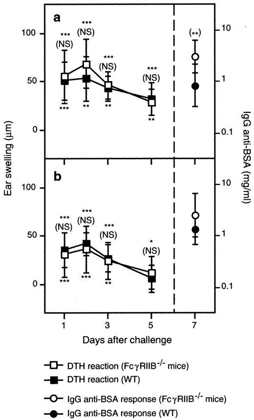 FIGURE 6. Normal DTH responses in FcγRIIB−/− mice. Groups of 8–11 WT CBA/J and FcγRIIB−/− mice, backcrossed to CBA/J for 10 generations, were immunized with 100 μg (a) or 10 μg (b) of BSA in CFA. Seven days after primary immunizations, mice were challenged with BSA in the right ear and PBS, as a control, in the left ear. Ear thickness was measured immediately before, as well as 24, 48, 72, and 120 h after challenge and BSA-specific ear swelling was calculated. Sera were collected 7 days after challenge and the levels of BSA-specific IgG were determined in ELISA. The level of BSA-specific IgG in normal mouse serum was 0.27 μg/ml (data not shown). Asterisks indicate statistical differences between mice of the same strain challenged with BSA and mice challenged with PBS. Asterisks within parentheses indicate the statistical differences between the FcγRIIB−/− and WT mice challenged with BSA. A representative of two independent experiments is shown. ∗, p < 0.05; ∗∗, p < 0.01; ∗∗∗, p < 0.001.
