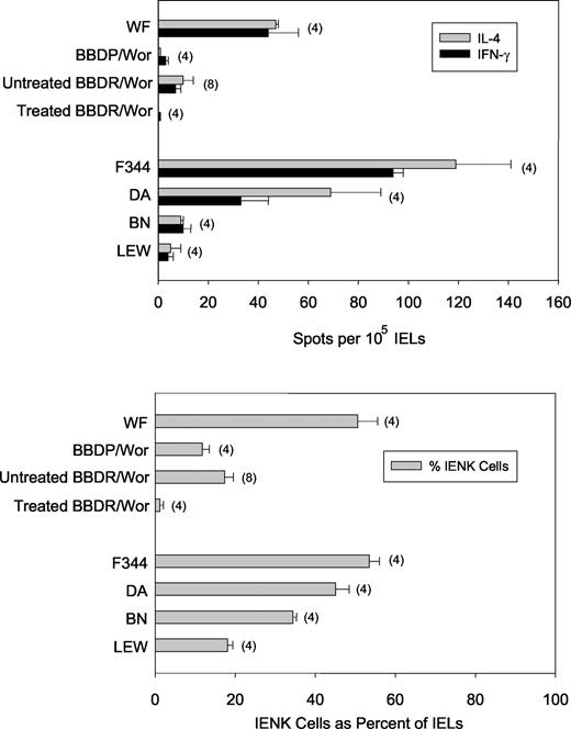 FIGURE 3. ELISPOT assays and percentage of IENK cells in various rat strains. IELs prepared from 4- to 6-wk-old rats of various strains were isolated as described in Materials and Methods. BBDR rats were either untreated or treated for 1 wk with anti-ART2.1 mAb plus poly(I:C). The number of unstimulated IELs secreting IL-4 or IFN-γ after overnight culture (upper panel) was determined by ELISPOT as described in Materials and Methods. The percentage of NKR-P1A+CD3− IENK cells (lower panel) was determined by flow cytometry. Each data point in both panels represents the mean ± 1 SD; the number of independent determinations is indicated in parentheses.