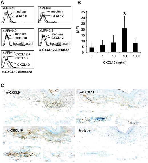 FIGURE 5. HS-dependent CXCL10 binding to ECs and EC-associated CXCR3 ligands in HSV-infected skin. A, CXCL10 binds to HS moieties on ECs and competes with CXCL12 for EC binding. ECs were either pretreated (middle panels) or not pretreated with heparitinase (top panels, bottom panel) and pulsed with CXCL10 or CXCL12 (100 ng/ml each). Chemokine binding was revealed by sequential incubations with anti-CXCL10 or anti-CXCL12 Abs and Alexa 488-conjugated second step reagents. In the bottom panel, ECs were pretreated with CXCL12 before CXCL10 pulsing and anti-CXCL10 immunostaining. Ab reactivity was measured by FACS (x-axis). Δ Mean fluorescence intensities (MFI) were calculated by subtracting the MFI of nonpulsed ECs from the MFI of chemokine-pulsed ECs (top and middle panels) or by subtracting the MFI of CXCL12 preincubated and CXCL10-pulsed ECs from the MFI of CXCL10-pulsed ECs (bottom panel). B, Dose dependency of CXCL10 binding to ECs. ECs were incubated with the indicated concentrations of CXCL10 and binding was analyzed by FACS. Data are given as mean MFI values (+SD) as obtained in four independent experiments. ∗, Significant (p < 0.05) CXCL10 binding. C, CXCR3 ligands are expressed in HSV-infected skin. Immunohistochemical staining for CXCL9 (upper left panel), CXCL10 (lower left panel), and CXCL11 (upper right panel) of 5-μm cryosections from gluteal herpes lesions reveals expression of all three CXCR3 ligands in the epidermal layers. Moreover, CXCL10 and CXCL11 but not CXCL9 immunoreactivity was found associated with ECs of the dermal vascular plexus (insets in the respective panels). Isotype control mAb staining of HSV lesions (lower right panel) and anti-CXCR3 ligand stainings of unaffected skin (data not shown) revealed no immunoreactivity.