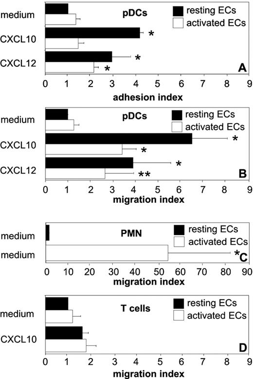FIGURE 6. pDCs but not T cells transmigrate through CXCL10-presenting EC monolayers. Monolayers of ECs were grown on collagen gels. ECs were cultured in the presence (activated ECs, □) or the absence (resting ECs, ▪) of 100 U/ml TNF-α for 4 h. EC monolayers were washed and pulsed or not pulsed with CXCL10 or CXCL12 (100 ng/ml). A and B, pDCs adhere to and transmigrate across chemokine-pulsed, non-activated EC monolayers. Cell Tracker Green-labeled pDCs were layered on top of the modified or nonmodified ECs and allowed to adhere to (A) and to transmigrate through the EC monolayers (B) for 3 h. Mean baseline adhesion and migration of pDCs correspond to 80 and 11 cells/HPF, respectively. ∗, p < 0.01; ∗∗, p < 0.05 as compared with respective medium controls. C, Granulocytes transmigrate through activated but not through non-activated EC monolayers. Cell Tracker Green-labeled PMN cells were seeded onto and allowed to transmigrate across the EC monolayers for 30 min. Mean baseline migration of granulocytes across resting ECs corresponds to 1 cell/HPF. D, Poor transmigration of T cells through CXCL10-presenting EC monolayers. Cell Tracker Green-labeled IL-2-activated T cells were layered on top of the modified or nonmodified ECs and allowed to transmigrate through the monolayers for 3 h. Adhesion (A) and TEM (B, C, and D) of pDCs (A and B), PMN cells (C), and T cells (D) were measured by assessing the numbers of Cell Tracker Green-labeled cells (and CD123-coexpressing cells in the case of pDCs) on the apical EC surface and within the subendothelial collagen matrix by multilevel confocal LSM and automated cell counting. Results are depicted as mean increase in migration/adhesion (+SD) relative to the migration/adhesion induced by resting, non-chemokine-modified ECs (x-axis).