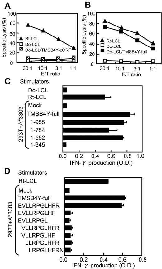 A Novel HLAA*3303Restricted Minor Antigen Encoded