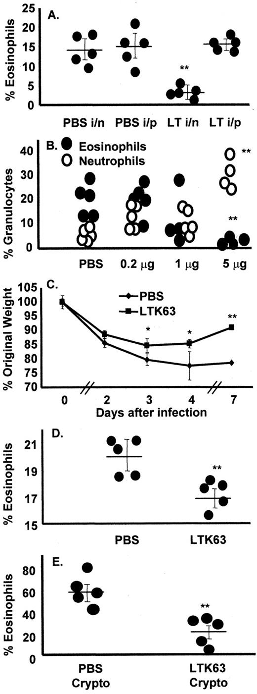 FIGURE 3. LTK63 prevents pulmonary eosinophilia during infection. LTK63 or PBS was administered i.n. to mice 14 days before scarification with rVV-G and challenge with RSV. The reduction in eosinophilia was dependent on the i.n. route of administration (A) and the dose of LTK63 (B). The percent eosinophils (•) and neutrophils (○) were determined in H&E-stained cytocentrifuge preparations of lung cells based on their distinctive nuclear morphology, size, and presence of cytoplasmic granules. LTK63 treatment had a long lasting effect; its administration 12 wk before rVV-G scarification and RSV challenge caused a reduction in weight loss (C) and a reduction in pulmonary eosinophilia (D). LTK63 treatment before C. neoformans infection of C57BL/6 mice also reduced the proportion of eosinophils (E), indicating that the effect of LTK63 is not host strain or pathogen specific. Each point indicates an individual mouse and is representative of three separate experiments. Average values are represented as horizontal bars ± SEM; ∗∗, p < 0.05 compared with the PBS-treated sample group.