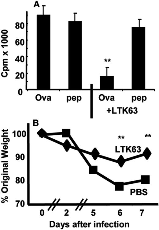 FIGURE 7. LTK63 treatment enhances non-T and B cells. BALB/c mice were treated with either PBS or 5 μg of LTK63 1 wk before cell recovery. Peritoneal cells were removed by lavage and washed before addition of OVA or OVA- specific peptide. 24 h later 5 × 105 DO11.10 T cells were added and cultured for 72 h, with the inclusion of 1 μCi of [3H]thymidine for the last 16 h. Results show the mean and SD from four separate experiments containing triplicate samples (A). In B, RAG−/− mice were given 5 μg of LTK63 or PBS i.n., and the lungs were removed after 14 days. Single lung homogenate cells (106) were transferred i.n. into four immunocompetent congenic mice. Weight loss during intranasal influenza virus infection was monitored for 7 days. The results show the mean ± SD of five separate mice. ∗∗, p < 0.05 compared with the PBS-treated sample group.