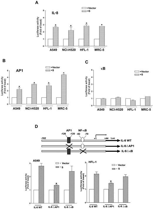 FIGURE 1. Effects of SARS-CoV S protein-encoding plasmid on IL-8 promoter, AP-1, and NF-κB activities in lung cells. A549, NCI-H520, HFL-1, or MRC-5 cells were cotransfected with IL-8 wt-Luc (A), AP-1-Luc (B), or NF-κB-Luc (C), as well as pcDNA3.1-S, or the empty vector. Luciferase activity was measured, as described under Materials and Methods. The results were normalized to the β-galactosidase activity and expressed as the mean ± SE of three independent experiments performed in triplicate. ∗, p < 0.05 compared with empty vector. D, Upper diagram, Schematic diagram of the 5′ regulatory region of the human IL-8 gene. A549 or HFL-1 cells were cotransfected with the IL-8 wt, IL-8ΔAP-1, or IL-8ΔκB luciferase expression vector as well as pcDNA3.1-S or the empty vector, and then the cell extracts were prepared and assayed for luciferase and β-galactosidase activity. The luciferase activity was normalized using the β-galactosidase activity and expressed as the mean ± SEM of three independent experiments performed in triplicate. ∗, p < 0.05 as compared with IL-8 wt.