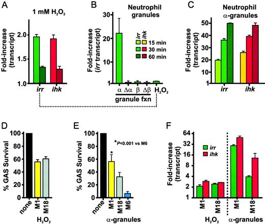 FIGURE 4. ihk and irr are induced by H2O2 and human neutrophil primary granules. A, Induction of ihk and irr in the wild-type strain by 1 mM H2O2. Results are the mean ± SD fold-change of triplicate wells from a representative TaqMan experiment performed at least twice for each time point. B, Change in irr transcript levels after incubation with human neutrophil primary granule fractions (α), heat-inactivated neutrophil primary granule fractions (Δα), neutrophil secondary granule fractions (β), and heat-inactivated neutrophil secondary granule fractions (Δβ). The data for induction of irr by H2O2 was included on the same scale for comparison (see dotted line). Results are the mean ± SD fold-change of triplicate wells from a representative TaqMan experiment performed twice. C, Time-resolved change in ihk and irr transcript following exposure of the wild-type GAS strain to neutrophil primary granules. Results are the mean ± SD fold-change of triplicate wells from a representative TaqMan experiment performed at least twice for each time point. D and E, Killing of serotype M1 and M18 GAS strains by 1 mM H2O2 (D) or solubilized human neutrophil α-granule components (E). Percent GAS survival is the mean ± SEM of six to seven separate experiments relative to untreated bacteria (▪). F, Change in irr and ihk transcript levels in serotype M1 and M18 GAS strains after a 30-min incubation with 1 mM H2O2 or 107 cell equivalents of human neutrophil α-granules as indicated. Results are the mean ± SEM fold-change of three separate TaqMan experiments.