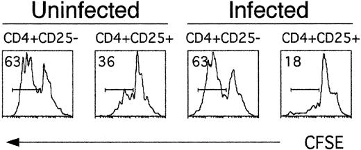 FIGURE 7. CD25+CD4−, but not CD25−CD4+, cells suppress T cell proliferation. CFSE-labeled B6 Thy1.2 splenocytes were incubated with soluble anti-CD3 Ab in the presence of sorted B6 Thy1.1 CD25−CD4+ or CD25+CD4+ cells pooled from three uninfected or three infected mice (as indicated). Histograms show CFSE fluorescence for gated Thy1.2+CD4+ responder cells and gates indicate the percentage of CD4 cells that have undergone proliferation. Data are from one experiment. An additional experiment, not shown, produced similar data.