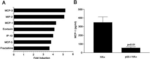 FIGURE 1. p55 mediates alveolar epithelial cell chemokine expression. A, RNA expression profiles of type II alveolar cells harvested from HA+ recipients, either p55−/− or WT (B10.D2 background), 6 h after transfer of WT CD8+ T cells. Signals were normalized to GADPH, and expressed as a ratio of WT to p55−/− cells (representative of three experiments). B, ELISA for MCP-1 in whole lung extract 24 h after transfer of WT CD8+ T cells into p55−/− or WT recipients.