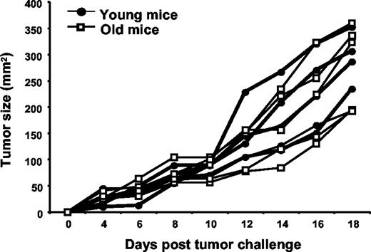 FIGURE 2. CMS5 tumor outgrowth is comparable in young and old untreated BALB/c mice. Young and old BALB/c mice were challenged on day 0 with 3 × 106 CMS5 cells in the right hind flank. Tumor size was monitored starting on day 4. Lines represent data from individual mice. Data are representative of three experiments using five mice per experiment.