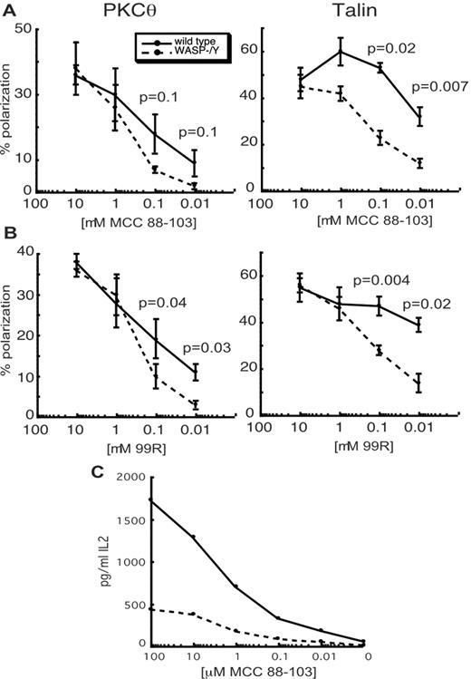 FIGURE 4. WASP-deficient T cells show defects in PKCθ and talin polarization at low doses of peptide but show IL-2 production defects at high doses. A and B, Experiments were performed as in Fig. 3 using the indicated doses of MCC88–103 peptide (A) or MCC99R peptide (B). Data are means ± SEM from 3 independent experiments with 50 conjugates each. p values were determined using the paired Student t test. C, Naive WASP+/Y or WASP−/Y lymph node T cells were incubated for 24 h with C3H splenocytes with the indicated concentrations of MCC88–103 peptide and analyzed by ELISA for IL-2 production. The result is from one representative experiment.