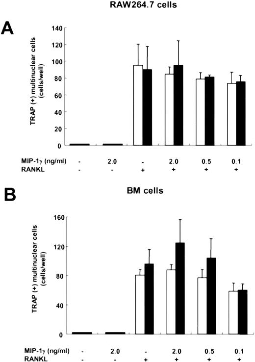 FIGURE 4. Effect of exogenous MIP-1γ on RANKL-induced osteoclast differentiation. A, RAW264.7 cells were stimulated for 5 days with the indicated doses of MIP-1γ, in the presence or absence of RANKL (10 ng/ml). B, BM cells were stimulated for 7 days with MIP-1γ in the presence or absence of RANKL (20 ng/ml) and M-CSF (50 ng/ml). The culture medium was supplemented with (▪) or without (□) 1 μg/ml polymyxin B to block any contaminating LPS. TRAP-positive cells with more than three nuclei were counted as osteoclasts. The results shown are the mean ± SD of three independent experiments.