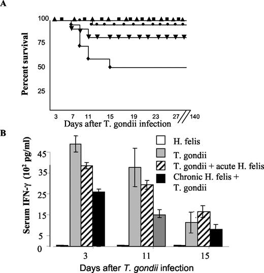 FIGURE 1. Concurrent Helicobacter infection blunts the immune response to T. gondii and increases T. gondii related mortality. A, Kaplan-Meier survival curves after T. gondii challenge in mice infected with H. felis or sham infected. Twenty mice in each group were followed for 20 wk after T. gondii infection. The experiment was repeated a second time (with 10 mice each) with similar results. Control (▴), H. felis (▪), T. gondii (•), T. gondii + acute H. felis (▾) infection, T. gondii + chronic H. felis (♦) infection. B, In a second cohort of mice, serum IFN-γ levels were determined by ELISA at 3, 11, and 15 days post T. gondii infection (n = 5 for each group). Data from control mice and H. felis-infected mice were below the level of detection and data from these groups combined. After day 15, serum IFN-γ was below the level of detection in all groups. Results are reported as the mean ± 1 SD. The experiment was repeated a second time with similar results.