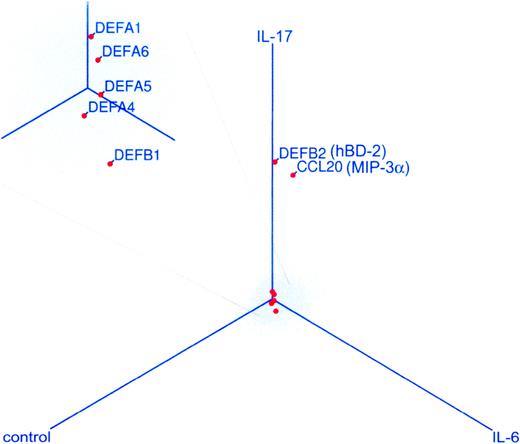 FIGURE 1. A three-dimensional scatter plot analysis of global gene expression patterns by primary human TBE cells after IL-17 or IL-6 treatment. RNAs were isolated from primary cultures after 24-h treatment with these cytokines (10 ng/ml). A global gene expression analysis was conducted on Affymetrix gene chip, HuGene U133A. Each dot on the plot represents the relative level of expression of a single gene related to cytokine-treated and -untreated cultures. For showing differential expression of genes in the analysis, these dots are plotted three dimensionally. A majority of genes are not differentially expressed, and they are diagonally projected at the center of the plot. These include the expression of various α-defensins and hBD-1, as shown in red dots in the enlarged inset. The expression of hBD-2 and CCL20 (MIP-3α), also shown in red dots, was highly differentially expressed with a preferential elevation toward the IL-17 axis.
