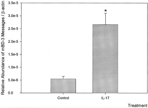 FIGURE 4. Evolutionary conservation of IL-17 effect of mBD-3 gene expression. C57BL/6 mouse primary tracheal epithelial cells grown under air-liquid interface for 2 wk were replaced with medium containing 20 ng/ml IL-17 or PBS-BSA (control). Total RNA was collected after 24-h treatment. The level of mBD-3 message was analyzed by real-time PCR and normalized to β-actin. Values are mean ± SE of three independent experiments and were compared between control- and IL-17-treated samples. ∗, p < 0.05.