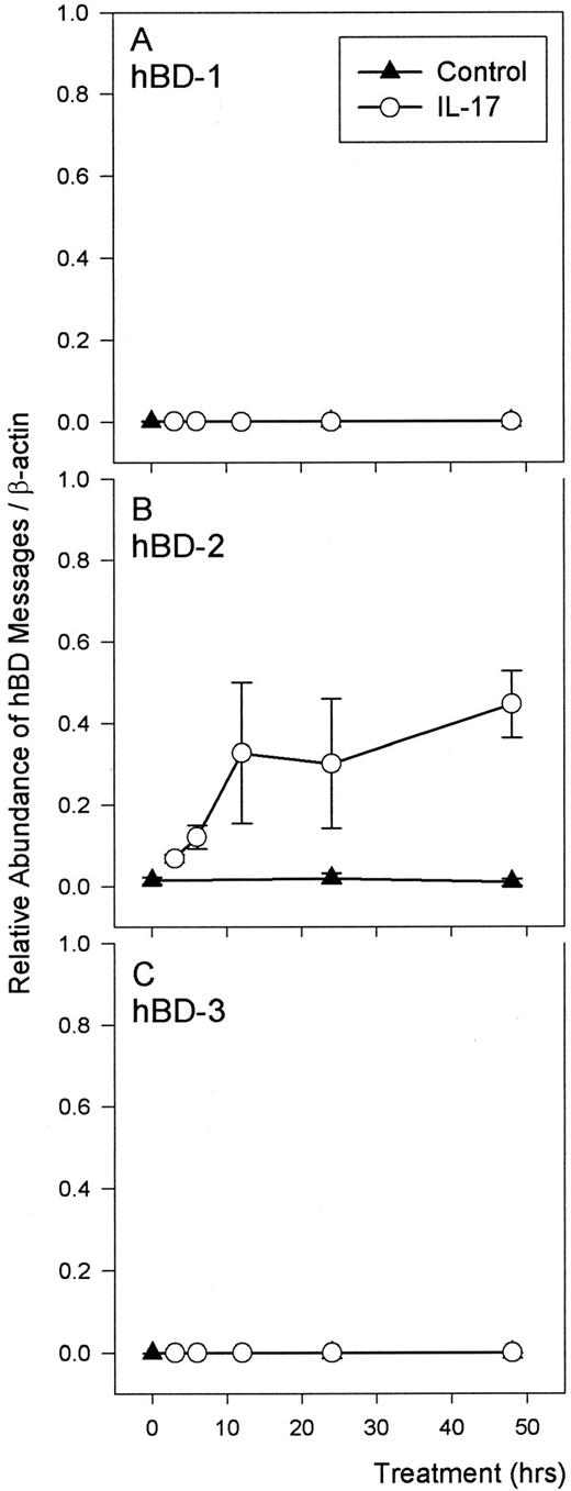 FIGURE 6. Time course-dependent IL-17-induced hBD-2 expression. Primary human TBE cells were treated with IL-17 (20 ng/ml), and RNAs were harvested at various times, as indicated. Real-time RT-PCR was conducted to quantify the level of the expression, as described in the text. A and C, No induction of hBD-1 and hBD-3 messages was seen in cultures treated with IL-17 at any time point. B, The effect of IL-17 on hBD-2 expression is time dependent. Values are means ± SE of three independent experiments.