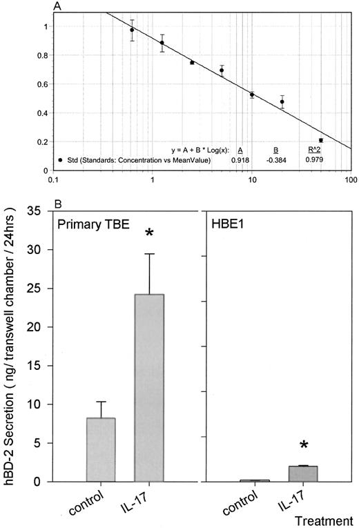 FIGURE 7. A competitive ELISA for the quantification of hBD-2 secretion by culture airway epithelial cells after IL-17 treatment. A, Serial dilutions of synthetic mature hBD-2 peptide were used to generate a competitive standard curve. The log of hBD-2 peptide concentration is plotted against the absorbance value. B, Apical culture fluids, including 300 μl of washing fluid, were collected from primary human TBE cells that were grown to confluency under an air-liquid interface condition, as described in the text. IL-17 was added at 100 ng/ml level 24 h before the medium collection. For the HBE1 cell line, cells were also cultured under an air-liquid interface condition, as described for primary human TBE cells. IL-17 (10 ng/ml) was added to the HBE1 cultures three times per week. At the end of incubation (24-h incubation), apical culture fluids including the wash (total 500 μl) were collected. These collected culture fluids, after a centrifugation to pellet cell debris, were subjected to the competitive hBD-2 ELISA. Secretion of hBD-2 peptide was significantly increased from both airway epithelial cells exposed to IL-17 compared with those without IL-17 treatment. ∗, p < 0.05.