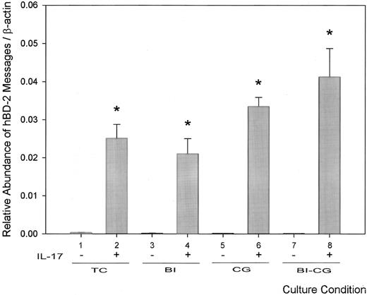 FIGURE 8. Effects of the culture conditions on IL-17-induced hBD-2 expression in HBE1 cell line. HBE1 cells were plated on four different culture conditions: 1) TC, 2) BI, 3) CG, and 4) BI-CG in the culture medium supplemented as described for primary human TBE cells. At day 21, these cultures were treated with human rIL-17 (10 ng/ml). For those cultures (BI and BI-CG) that were maintained in air-liquid interface condition, IL-17 was added to both the apical and basal sides of the culture. Total RNA was collected after 48-h incubation. The expression of mRNA was analyzed by real-time PCR and normalized to β-actin. Results are expressed as means ± SE for duplicate samples from one representative experiment. ∗, p < 0.05 compared with tissue culture condition control.
