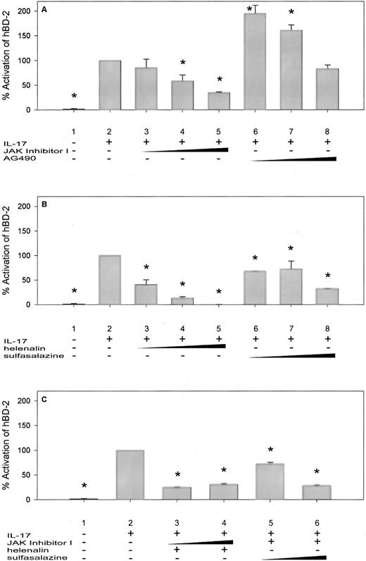 FIGURE 11. The effect of JAK and NF-κB inhibitors on IL-17-induced hBD-2 expression. A, Primary TBE cells were cultured under the same condition as described in Fig. 9. A, Thirty minutes before IL-17 (20 ng/ml) treatment (lanes 2-8), cultures were treated with 10 nM (lane 3), 100 nM (lane 4), and 1000 nM (lane 5) JAK inhibitor I, and 2 μM (lane 6), 10 μM (lane 7), and 50 μM (lane 8) AG490. Cultures were harvested 24 h later for RNA isolation and real-time PCR analysis. Lane 1 was the control without any treatment. B, Primary TBE cells were pretreated with 5 μM (lane 3), 20 μM (lane 4), and 50 μM (lane 5) helenalin, and 100 μM (lane 6), 300 μM (lane 7), and 1000 μM (lane 8) sulfasalazine 30 min before IL-17 (20 ng/ml) treatment (lanes 2-8). Cells were harvested 24 h later after IL-17 treatment for RNA and real-time PCR quantitation. Lane 1 was the control without any treatment. C, TBE cells were cultured and treated, as described above. Thirty minutes before IL-17 treatment (lanes 2-6), cultures were pretreated with a combination of 100 nM (lane 3) and 1000 nM (lane 4) JAK inhibitor I and 5 μM helenalin; and a combination of 100 nM JAK inhibitor I with 300 μM (lane 5) and 1000 μM (lane 6) sulfasalazine. Lane 1 was the control without any treatment. Values in A and B are means ± SE of two to three independent primary cultures derived from different donors and were compared between IL-17- and inhibitor-treated samples. ∗, p < 0.05 when compared with IL-17 treatment alone (lane 2). Results in C are expressed as means ± SE for duplicate samples from one representative experiment. ∗, p < 0.05 when compared with IL-17 treatment alone (lane 2).