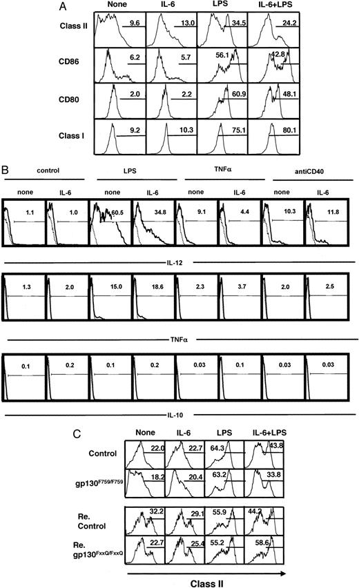 FIGURE 3. IL-6 directly regulates BMDC maturation/activation, following LPS stimulation. A, BMDCs from control animals were pretreated with IL-6 or left untreated for 24 h, then some BMDCs from each group were treated with LPS for 24 h. The expression of MHC class II (I-Ab), CD86, CD80, and MHC class I molecules was analyzed on anti-CD11c Ab-positive cells by flow cytometry. The differences between the LPS and IL-6 plus LPS groups for class II, CD86, and CD80 were significant by Student’s t test (p < 0.05). B, BMDCs were pretreated with IL-6 or left untreated for 24 h, then some BMDCs from each group were treated with LPS, TNF-α, or anti-CD40 Ab for 24 h. The intracellular expression of IL-12, TNF-α, and IL-10 was then analyzed in anti-CD11c Ab-positive cells by flow cytometry. C, BMDCs from control, gp130F759/F759, control reconstituted, and gp130FxxQ/FxxQ reconstituted mice were pretreated with IL-6 for 24 h or left untreated, then some BMDCs from each group were treated with LPS for 24 h. The expression of MHC class II (I-Ab) was analyzed on anti-CD11c Ab-positive cells by flow cytometry. CD11c+CD45.2+ BMDCs from control reconstituted and gp130FxxQ/FxxQ reconstituted mice were analyzed. The results are representative of more than four independent experiments. The results of the LPS and IL-6 plus LPS groups in both control and gp130F759/F759 BMDCs were significantly different by Student’s t test (p < 0.05).