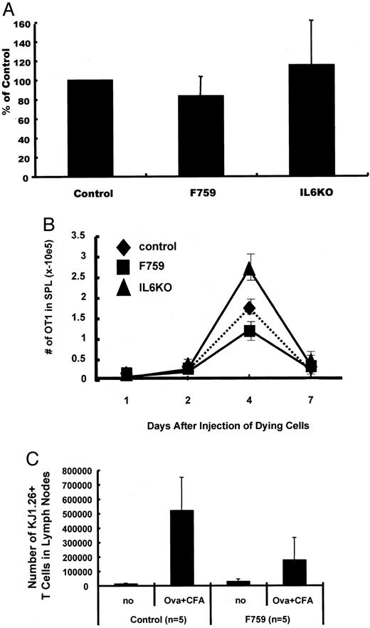 FIGURE 6. IL-6 regulated DC-mediated Ag presentation in mice. A, CFSE-labeled dying splenic cells were i.v. injected into control, gp130F759/F759,or IL-6 KO mice. Splenic DCs were harvested, and the CFSE+CD8+CD11c+ cells were analyzed 3 h after the injection of the dying cells. The same experiments were performed six times, and the average percentage of endocytosis in the control animals in each experiment was defined as 100%. The endocytosis indexes were calculated from the average percentage of endocytosis in gp130F759/F759 and IL-6 KO animals in the corresponding experiments. B, Thy-1.1+OT1+ cells that were negatively sorted with nylon wool and anti-CD4+ magnetic beads were injected into control, gp130F759/F759, or IL-6 KO mice (1 × 106 cells each) on day −1. Splenocytes from class I (DbKb) KO mice were incubated with OVA and killed with hypotonic buffer, as described previously (40 ). The resulting OVA+ dying cells plus LPS (500 ng) were i.v. injected (day 0) into the mice that received the Thy-1.1+OT1+ cells on day −1. The number of Thy-1.1+CD8+ cells in the spleen was monitored in each mouse by flow cytometry on days 1, 2, 4, and 7. Data are shown as the mean + SD of six to eight mice from three independent experiments. The results of each mouse group were significantly different by Student’s t test on day 4 (p < 0.05). C, CD4+ T cells were purified from DO11.10 mice using nylon wool and anti-CD8+ magnetic beads and transferred into control and gp130F759/F759 mice (day −1). CFA and OVA peptide were s.c. injected at the tail base (day 0). The number of KJ1.26+CD4+ cells in the inguinal lymph nodes was calculated for each mouse after analysis by flow cytometry on day 4. Data are shown as the mean ± SD of five mice from two independent experiments. The results of control and gp130F759/F759 mice after OVA + CFA treatment were significantly different by Student’s t test (p < 0.025).