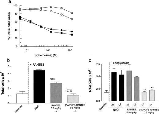 FIGURE 5. Inhibition is not by desensitization. a, CCR5 internalization by monocytes (•, ) or lymphocytes (▪, ▦) following exposure to RANTES (•, ▪) or [44AANA47]-RANTES (, ▦). b, The effect of wild-type RANTES (dark gray bars) compared with [44AANA47]-RANTES (light gray bars) on peritoneal cell recruitment induced by RANTES (black bars). b, The effect of wild-type RANTES i.p. or i.v. (dark gray bars) compared with the [44AANA47]-RANTES variant i.p. or i.v. (light gray bars) on thioglycolate-mediated peritoneal cell recruitment (black bars).