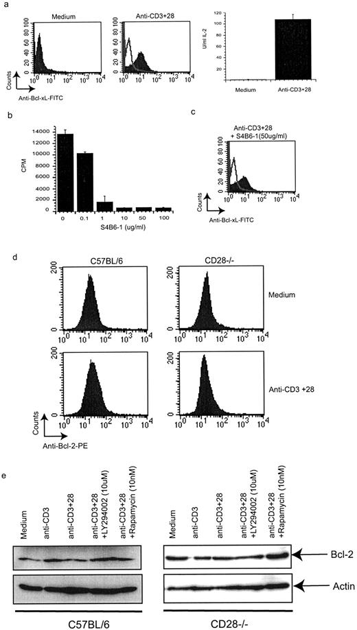 FIGURE 2. CD28 induction of Bcl-xL is independent of IL-2, and the CD28 pathway does not affect Bcl-2 protein expression. a, Lymph node cells fromC57BL/6 were stimulated with anti-CD3/CD28 Abs. Unstimulated controls were maintained in medium. Cells were stained (Figure legend continues) with anti-Bcl-xL-PE (1 μg/ml). IL-2 in culture supernatants from lymph node cells, unstimulated or stimulated with anti-CD3/28 Abs, was quantitated by ELISA. b, The proliferative response of the CTLL-2 cell line against rIL-2 (110 U/ml) was determined by assessing [3H]thymidine incorporation at 48 h in response to S4B6-1 (0–100 μg/ml). c, Lymph node cells from C57BL/6 were stimulated with anti-CD3/CD28 Abs in the presence of the IL-2-blocking Ab, S4B6-1 (50 μg/ml). Cells were stained with anti-Bcl-xL-PE (1 μg/ml). d, Lymph node cells from C57BL/6 and CD28−/− were stimulated with anti-CD3 (1 μg/ml) and anti-CD28 Abs (1 μg/ml). Control samples were maintained in medium. Cells were stained with anti-Bcl-2-PE (1 μg/ml). e, Lymph node cells from C57BL/6 and CD28−/− were stimulated with anti-CD3 and/or anti-CD28 Abs (1 μg/ml) in the presence or the absence of LY294002 (10 μM) or rapamycin (10 nM) for 18 h. Cells were collected and lysed. Proteins were resolved by SDS-PAGE and probed with anti-Bcl-2 and anti-actin Abs.