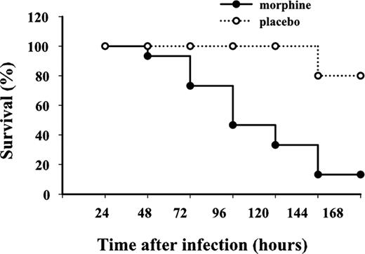 FIGURE 1. Effect of chronic morphine treatment on the survival of mice infected with S. pneumoniae. Mice were implanted with morphine and placebo pellets and then inoculated intranasally with S. pneumoniae. The survival curves were markedly different between morphine and placebo groups (p < 0.05 for morphine vs placebo groups; n = 15). Results are representative of three independent experiments.