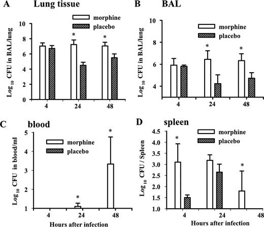 FIGURE 2. Bacterial counts in lung tissue (A), BAL fluid (B), blood (C), and spleens (D) of morphine-treated and placebo control mice infected with S. pneumoniae. Data are expressed as the mean ± SEM of three independent experiments. The chronic morphine-treated group is significantly different from the placebo control group (∗, p < 0.05; n = 6).