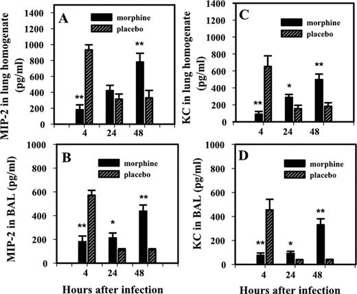 FIGURE 5. The levels of MIP-2 and KC in lung tissue (A and C) and BAL (B and D) in morphine-treated and placebo control mice. Data are expressed as the mean ± SEM of three independent experiments. ∗, p < 0.05; ∗∗, p < 0.01 (compared with the placebo control group; n = 6).