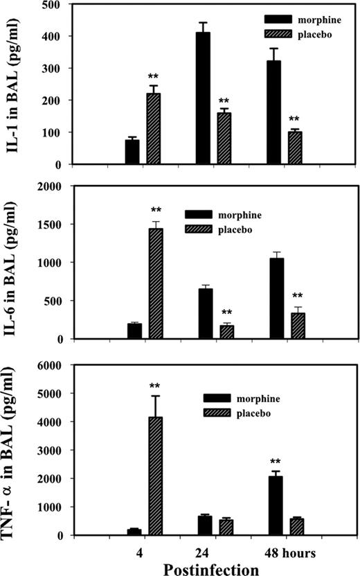 FIGURE 6. Effect of chronic morphine treatment on cytokines, IL-1, IL-6, and TNF-α in BAL fluid from infected mice. Data are presented as the mean ± SEM of three independent experiments. ∗∗, p < 0.01 (compared with the placebo control group; n = 6).