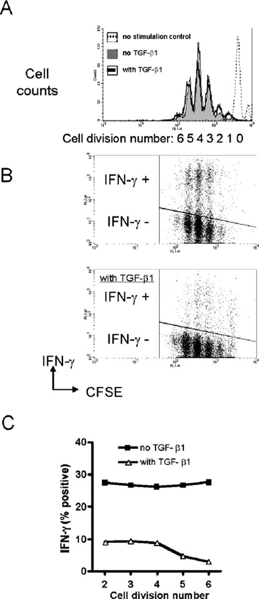 FIGURE 3. TGF-β1-mediated suppression of IFN-γ production is not dependent on cell division. A–C, Naive CD4+ T cells were stained with CFSE and stimulated for 3 days with anti-CD3 and anti-CD28 mAbs with IL-12 and anti-IL-4, with or without added TGF-β1 (5 ng/ml). Cells were collected, stimulated with PMA and ionomycin for 4 h, and stained for intracellular IFN-γ. A, Cell division profiles are shown for unstimulated cells (unfilled dashed profile), cells stimulated in IL-12 conditions (filled solid profile), or cells stimulated in IL-12 with TGF-β1 (unfilled solid profile). B, Combined intracellular IFN-γ staining with CFSE staining is shown for cells stimulated with IL-12 (upper panel) or with IL-12 and TGF-β1 (lower panel). Gating for IFN-γ was set using an isotype-matched control Ab. C, The percentage of IFN-γ-positive cells is shown in graphic form for the second through sixth cell divisions for cells stimulated with IL-12 or with IL-12 and TGF-β1. These data are representative of three experiments with similar results.