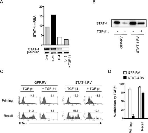 FIGURE 6. Stat4 overexpression partially overcomes TGF-β1-mediated suppression of IFN-γ production at priming. A, TGF-β1 inhibits Stat4 expression. Naive CD4+ T cells were primed under the conditions indicated, and mRNA and protein were assessed at 3 days. These data are representative of three experiments with similar results. B, Naive CD4+ T cells were primed without or with TGF-β1 and infected at 24 h with control GFP-RV or Stat4-GFP-RV. At 3 days, GFP+ cells were sorted, and protein was collected. Western blotting was used to measure Stat4 protein levels. Protein loading was normalized by SYPro Orange quantitation. C, Naive CD4+ T cells were primed, infected with either control GFP-RV or Stat4-GFP-RV, and analyzed, as described in Fig. 5. D, Graphic representation of the mean percent inhibition by TGF-β1 comparing the IL-12 vs IL-12 plus TGF-β1 conditions. The data reflect the inhibition by TGF-β1 of the percentage of IFN-γ+ cells in the indicated retroviral infection conditions at either priming or recall. Statistical bars show the mean ± SD of triplicate starting culture wells. These data are representative of four experiments for priming and recall.