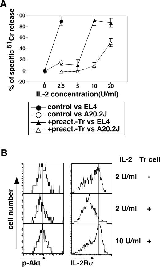 FIGURE 6. High doses of IL-2 restore suppression of functional CTL maturation by Tr cells accompanied by IL-2Rα expression and by p-Akt level. A, CD4+ T cell-depleted BALB/c spleen cells (5 × 105) were cocultured with irradiated C57BL/6 stimulators (5 × 104). Preactivated Tr cells (5 × 103) were added to the culture on day 0. The cultures were supplemented with various concentrations of rmIL-2. Five days later, Ag-specific cytotoxicity was assessed. EL4 and A20.2J cells were used as Ag-specific and nonspecific control TCs, respectively. Data are presented as mean ± SD. B, Purified CD8+ T cells were cocultured with stimulators in the presence of rmIL-2 at a final concentration of 2 or 10 U/ml. After 2 days of culture, preactivated Tr cells were added to the culture (middle and bottom panels). Cells were analyzed for expression of p-Akt and IL-2Rα on day 3 of culture. Depicted histograms demonstrate levels of p-Akt (left panels) and IL-2Rα (right panels) in large-sized CD8+ cells. Mean fluorescence intensity (MFI) on p-Akt is indicated in each histogram. The data shown represent one of three experiments.