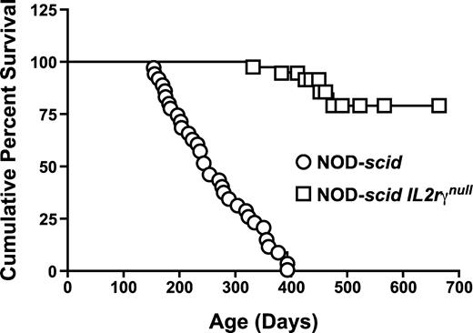 FIGURE 2. Cumulative percent survival of NOD-scid IL2Rγnull and NOD-scid mice as a function of age. Data are based on 34 NOD-scid IL2Rγnull and 35 NOD-scid mice observed from birth. The survival data for NOD-scid mice have been published previously (10 ).