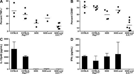 FIGURE 5. BM-derived DC populations were established for the strains indicated as described in Materials and Methods. All cultures were incubated in the presence of an agonist anti-CD40 mAb on day 4 and harvested for analysis on day 6. A and B, Nonadherent cells recovered after culture were analyzed by flow cytometry. The CD11b+CD11c+ population was analyzed for intracytoplasmic expression of TNF-α (A) and cell surface expression of CD86 (B). Each data point represents an individual mouse from 3 separate experiments. Percentages of TNF-α+ cells as well as percentages of CD86+ cells found in NOD-scid IL2Rγnull BM cultures were significantly decreased (p < 0.05) compared with C57BL/6, C57BL/6-Rag1null, and NOD-scid cultures. Supernatants from the DC cultures described in A and B were harvested and quantified by ELISA to determine IL-12p40 (C) and IFN-γ (D) production. Levels of IL-12p40 in supernatants from NOD-scid IL2Rγnull BM cultures were significantly decreased (p < 0.05) compared with C57BL/6 and C57BL/6-Rag1null cultures. Levels of IFN-γ in supernatants from NOD-scid IL2Rγnull BM cultures were significantly decreased (p < 0.05) compared with all other cultures.